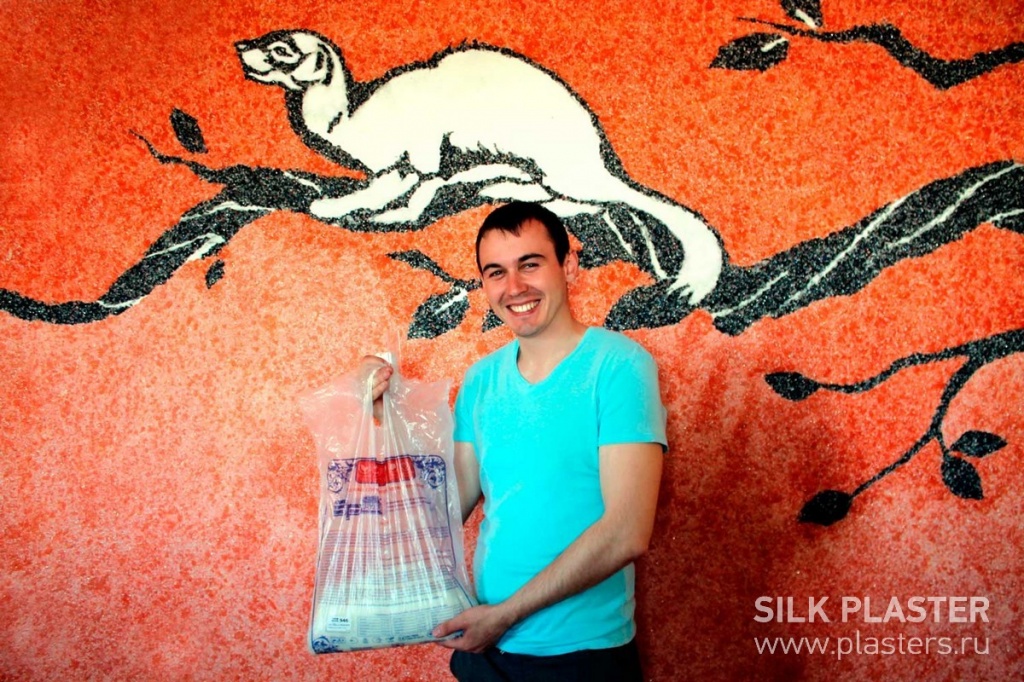 Promo_SILK_ PLASTER_2015_ 10.jpg Promo_SILK_ PLASTER_2015_ 10.jpg